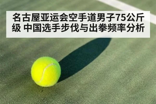 名古屋亚运会空手道男子75公斤级 中国选手步伐与出拳频率分析