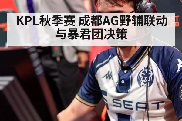 KPL秋季赛 成都AG野辅联动与暴君团决策